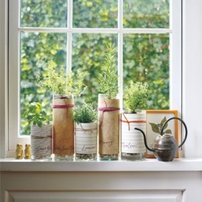 Assemble an herb garden. Fill the bottom of the vase with pebbles (for drainage) before transferring small potted greens.