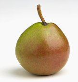 seckel pear