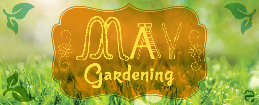 Gardening May Infographic | ecogreenlove