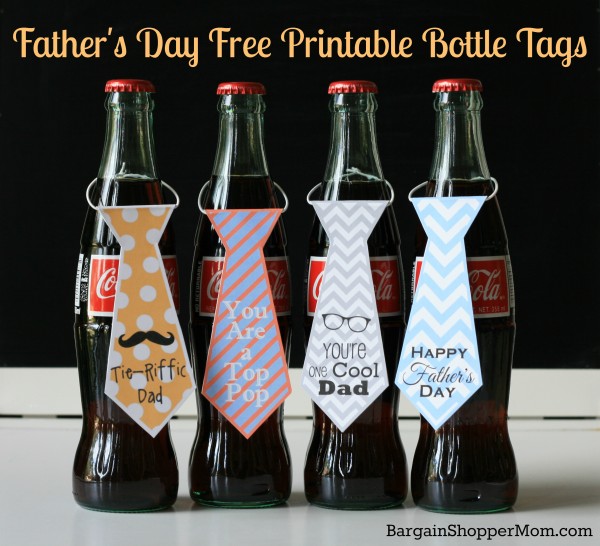 DIY: Upcycled Father's Day Gifts ideas | ecogreenlove