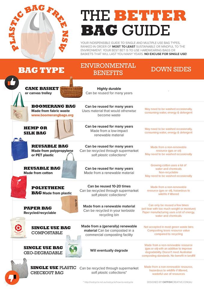 business plan for eco friendly bags pdf