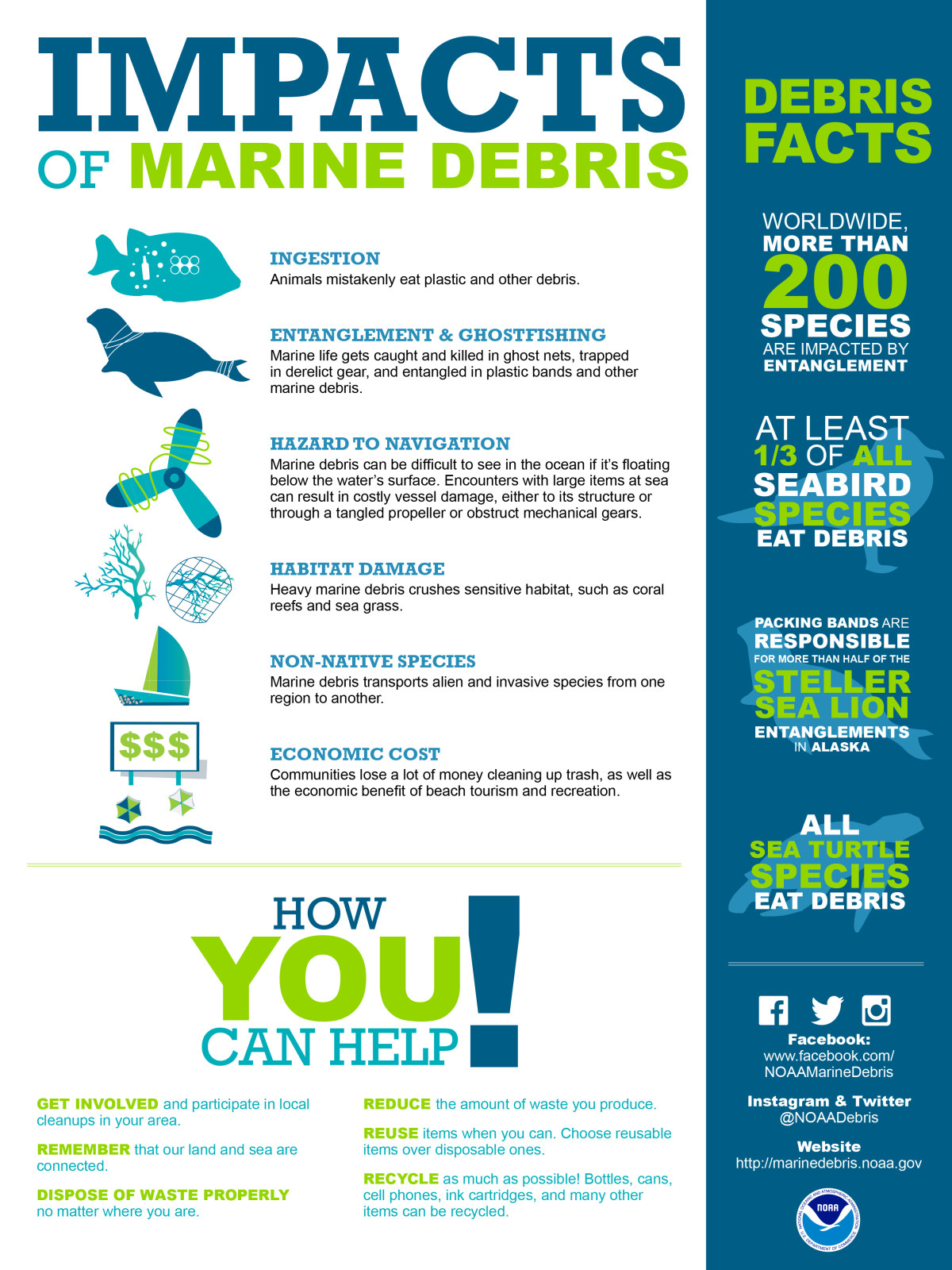 Marine Debris [Infographic] | ecogreenlove