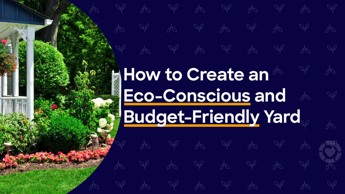 Easy, Eco-Friendly Landscaping: What to Know [Infographic] | ecogreenlove