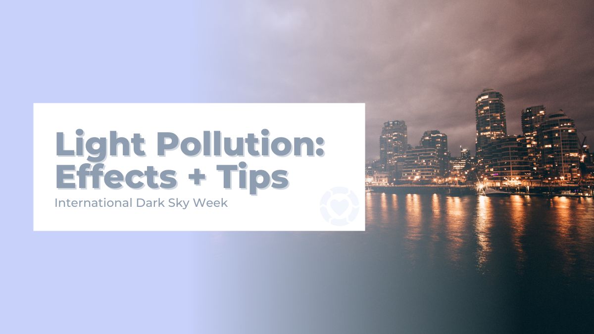 Light Pollution: Effects + Tips • International Dark Sky Week | ecogreenlove