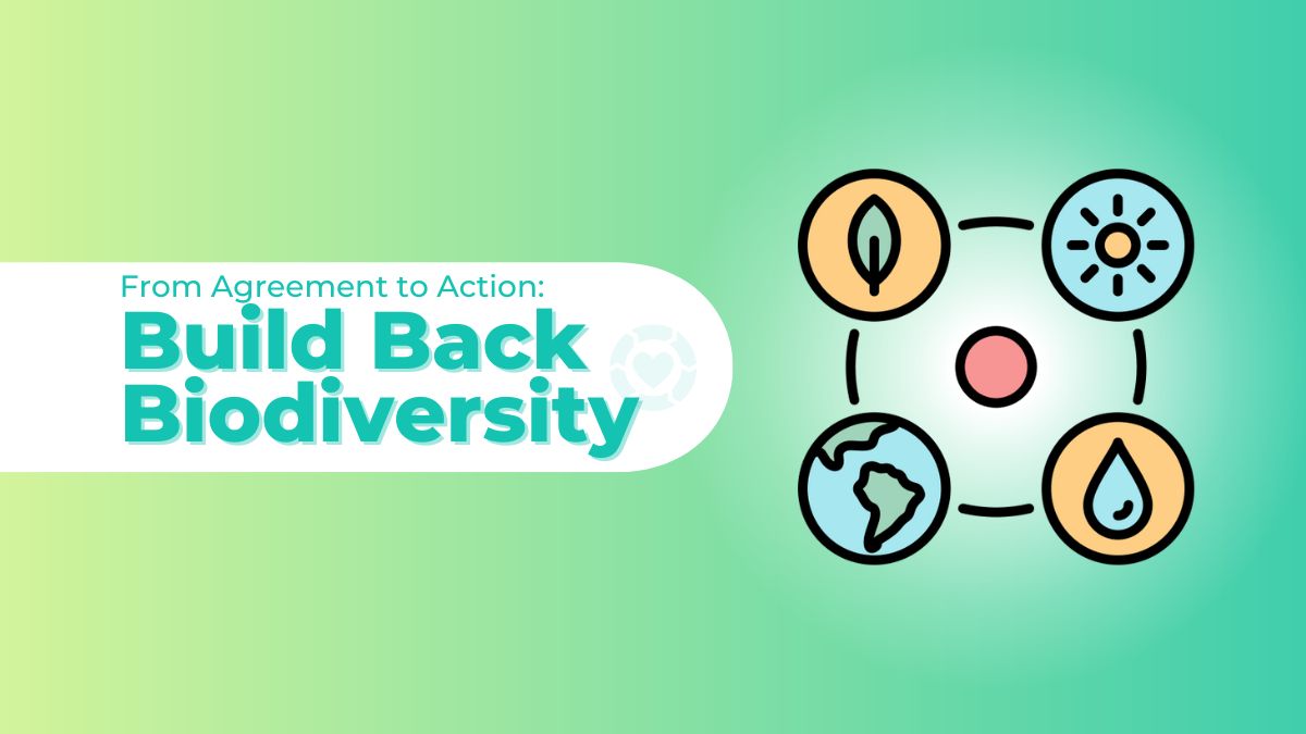 From Agreement to Action: Build Back Biodiversity [Visuals]