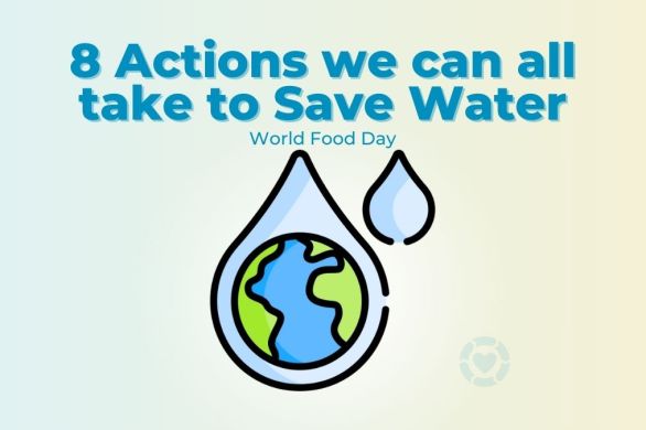 Eight actions we can all take to save water – World Food Day 2023 | ecogreenlove