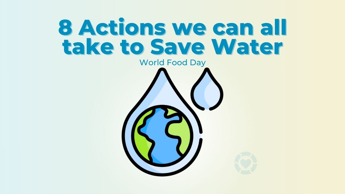 8 Actions we can all take to Save Water [Video]