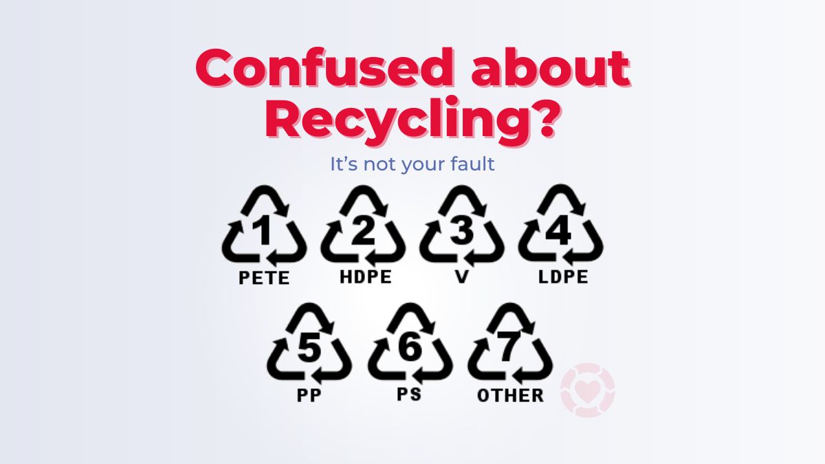 Confused about recycling? It’s not your fault [Video]